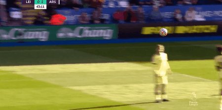 lei ars 7.gif